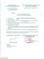 Báo cáo tài chính năm 2015 (đã kiểm toán) - Công ty cổ phần Du lịch Dầu khí Phương Đông