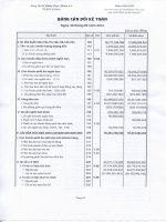 Báo cáo tài chính quý 3 năm 2013 - CTCP Dược phẩm 2-9 TP. Hồ Chí Minh
