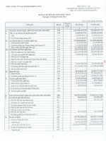 Báo cáo tài chính hợp nhất quý 1 năm 2016 - Tổng Công ty Gas Petrolimex-CTCP