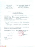 Báo cáo tài chính quý 1 năm 2016 - Công ty cổ phần Du lịch Dầu khí Phương Đông