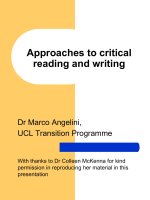Approaches to critical reading and writing