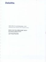 Báo cáo tài chính hợp nhất năm 2015 (đã kiểm toán) - Tổng Công ty Gas Petrolimex-CTCP