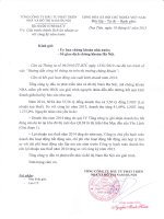 Báo cáo tài chính quý 4 năm 2014 - Tổng Công ty Đầu tư Phát triển Nhà và Đô thị Nam Hà Nội