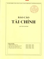 Báo cáo tài chính quý 3 năm 2015 - Tổng Công ty Đầu tư Phát triển Nhà và Đô thị Nam Hà Nội