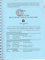 Bản cáo bạch - Công ty cổ phần Đầu tư và Phát triển Đô thị Long Giang
