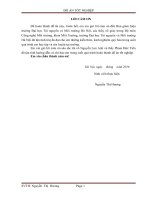 Quy hoạch hệ thống cấp nước cho Thị trấn Gia Lộc – huyện Gia Lộc – tỉnh Hải Dương giai đoạn 2020  2030