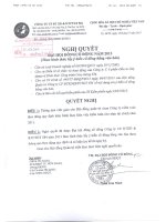 Nghị quyết Đại hội cổ đông bất thường - Công ty cổ phần Đầu tư Xây dựng và Khai thác Công trình Giao thông 584