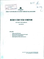Báo cáo tài chính hợp nhất quý 3 năm 2010 - Công ty cổ phần Đầu tư và Phát triển Đô thị Long Giang