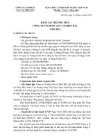 Báo cáo thường niên năm 2013 - Công ty Cổ phần Vận tải Biển Bắc