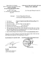 Báo cáo tài chính năm 2010 (đã kiểm toán) - Công ty cổ phần Du lịch Dầu khí Phương Đông