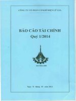 Báo cáo tài chính quý 1 năm 2014 - Công ty Cổ phần Đầu tư Cầu đường CII