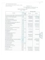 Báo cáo tài chính quý 3 năm 2009 - Công ty cổ phần Đầu tư Xây dựng và Khai thác Công trình Giao thông 584