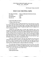 Báo cáo thường niên năm 2008 - Công ty Cổ phần Phát triển Đô thị Từ Liêm