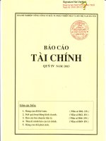 Báo cáo tài chính quý 4 năm 2013 - Tổng Công ty Đầu tư Phát triển Nhà và Đô thị Nam Hà Nội