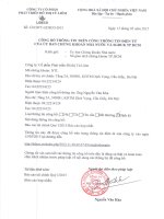 Báo cáo tài chính hợp nhất quý 1 năm 2015 - Công ty Cổ phần Phát triển Đô thị Từ Liêm