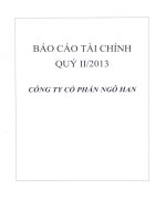 Báo cáo tài chính công ty mẹ quý 2 năm 2013 - Công ty Cổ phần Ngô Han