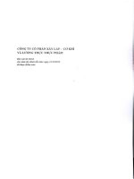 Báo cáo tài chính năm 2012 (đã kiểm toán) - CTCP Xây lắp Cơ khí và Lương thực Thực phẩm