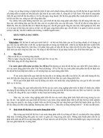 Tiểu luận KTPTQUÁ TRÌNH ĐÔ THỊ HÓA Ở CÁC NƯỚC