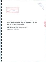 Báo cáo tài chính quý 4 năm 2012 - Công ty cổ phần Phát triển Bất động sản Phát Đạt