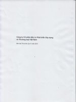 Báo cáo tài chính quý 4 năm 2015 - Công ty cổ phần Đầu tư Phát triển Xây dựng và Thương mại Việt Nam