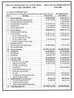 Báo cáo tài chính năm 2009 - Công ty Cổ phần Đầu tư và Xây dựng Thủy lợi Lâm Đồng