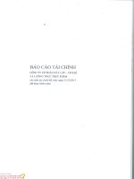 Báo cáo tài chính năm 2013 (đã kiểm toán) - CTCP Xây lắp Cơ khí và Lương thực Thực phẩm