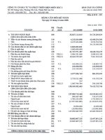 Báo cáo tài chính năm 2008 (đã kiểm toán) - Công ty Cổ phần Đầu tư Phát triển điện Miền Bắc 2
