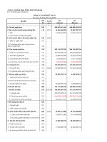 Báo cáo tài chính quý 2 năm 2009 - Công ty Cổ phần Nhựa Thiếu niên Tiền Phong