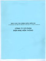 Báo cáo tài chính công ty mẹ quý năm 2014 - Công ty cổ phần Điện nhẹ Viễn thông