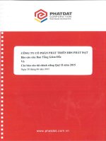 Báo cáo tài chính công ty mẹ quý 2 năm 2015 - Công ty cổ phần Phát triển Bất động sản Phát Đạt
