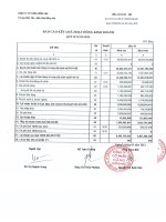 Báo cáo KQKD quý 1 năm 2013 - Công ty Cổ phần Cảng Đồng Nai