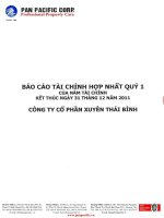Báo cáo tài chính hợp nhất quý 1 năm 2011 - Công ty Cổ phần Tập đoàn PAN