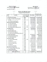 Báo cáo tài chính quý 2 năm 2015 - CTCP Suất ăn Hàng không Nội Bài