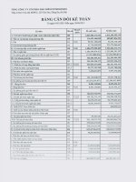 Báo cáo tài chính công ty mẹ quý 2 năm 2015 - Tổng Công ty cổ phần Bảo hiểm Petrolimex