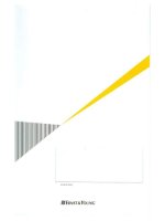 Báo cáo tài chính công ty mẹ năm 2009 (đã kiểm toán) - Công ty cổ phần Phát triển Bất động sản Phát Đạt