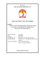 CÔNG TÁC ĐÀO TẠO, BỒI DƯỠNG CÁN BỘ CÔNG CHỨC  CẤP CƠ SỞ  LÀ NGƯỜI DÂN TỘC THIỂU SỐ CỦA  HUYỆN KỲ SƠN, TỈNH NGHỆ AN