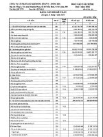 Báo cáo tài chính quý 1 năm 2016 - Công ty cổ phần Dầu khí Đông Đô