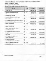 Báo cáo tài chính quý 1 năm 2009 - Công ty Cổ phần Đầu tư và Xây dựng Thủy lợi Lâm Đồng