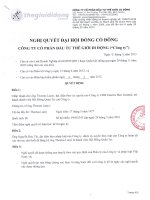 Nghị quyết Đại hội cổ đông bất thường ngày 05-03-2013 - Công ty cổ phần Đầu tư Thế giới Di động