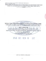 Báo cáo thường niên năm 2008 - Công ty Cổ phần Đầu tư Phát triển điện Miền Bắc 2