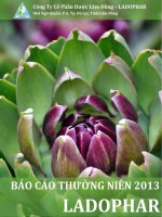 Báo cáo thường niên năm 2013 - Công ty Cổ phần Dược Lâm Đồng - Ladophar