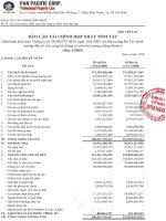 Báo cáo tài chính hợp nhất quý 1 năm 2009 - Công ty Cổ phần Tập đoàn PAN