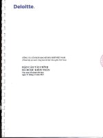 Báo cáo tài chính năm 2012 (đã kiểm toán) - Công ty cổ phần Bao bì Dầu khí Việt Nam
