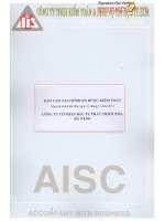 Báo cáo tài chính năm 2013 (đã kiểm toán) - Công ty Cổ phần Đầu tư Phát triển Nhà Đà Nẵng