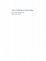 Báo cáo tài chính công ty mẹ quý 3 năm 2014 (đã soát xét) - Công ty cổ phần Đầu tư Thế giới Di động
