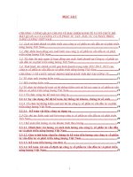 TỔ CHỨC HOẠT ĐỘNG KIỂM SOÁT NỘI BỘ TẠI CÔNG TY CÔNG TY CỔ PHẦN TƯ VẤN  ĐẦU TƯ VÀ PHÁT TRIỂN NĂNG LƯỢNG VIỆT NAM