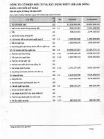 Báo cáo tài chính quý 2 năm 2009 - Công ty Cổ phần Đầu tư và Xây dựng Thủy lợi Lâm Đồng