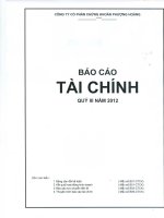Báo cáo tài chính quý 3 năm 2012 - Công ty Cổ phần Chứng khoán Phượng Hoàng
