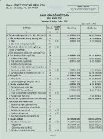 Báo cáo tài chính quý 2 năm 2012 - Công ty Cổ phần Đầu tư Cầu đường CII