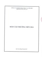 Báo cáo thường niên năm 2014 - Công ty Cổ phần Khai thác và Chế biến Khoáng sản Lào Cai